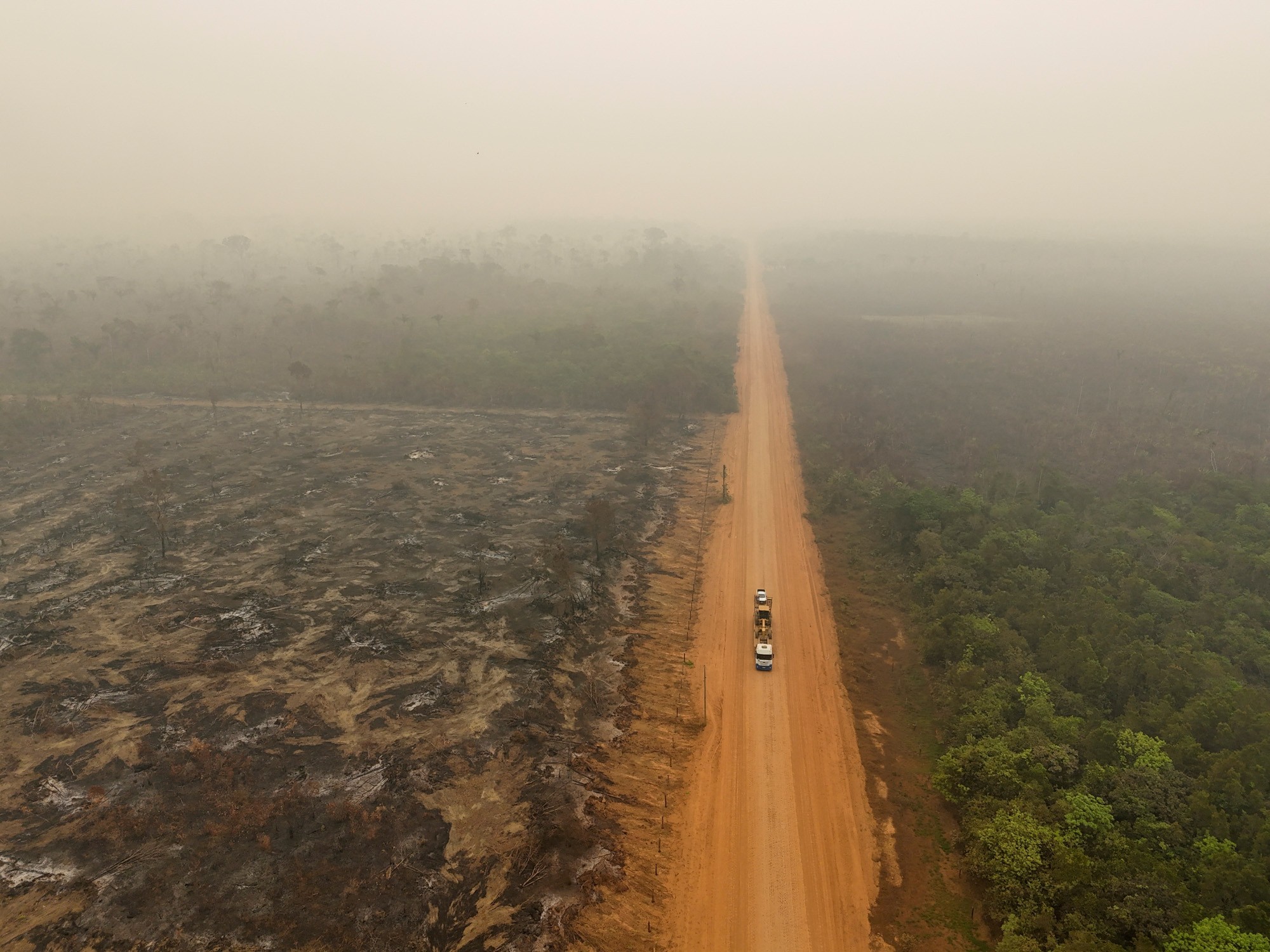 Desmatamento na Amazônia cai 7% em 2024, mas degradação tem alta de 497% por causa das queimadas