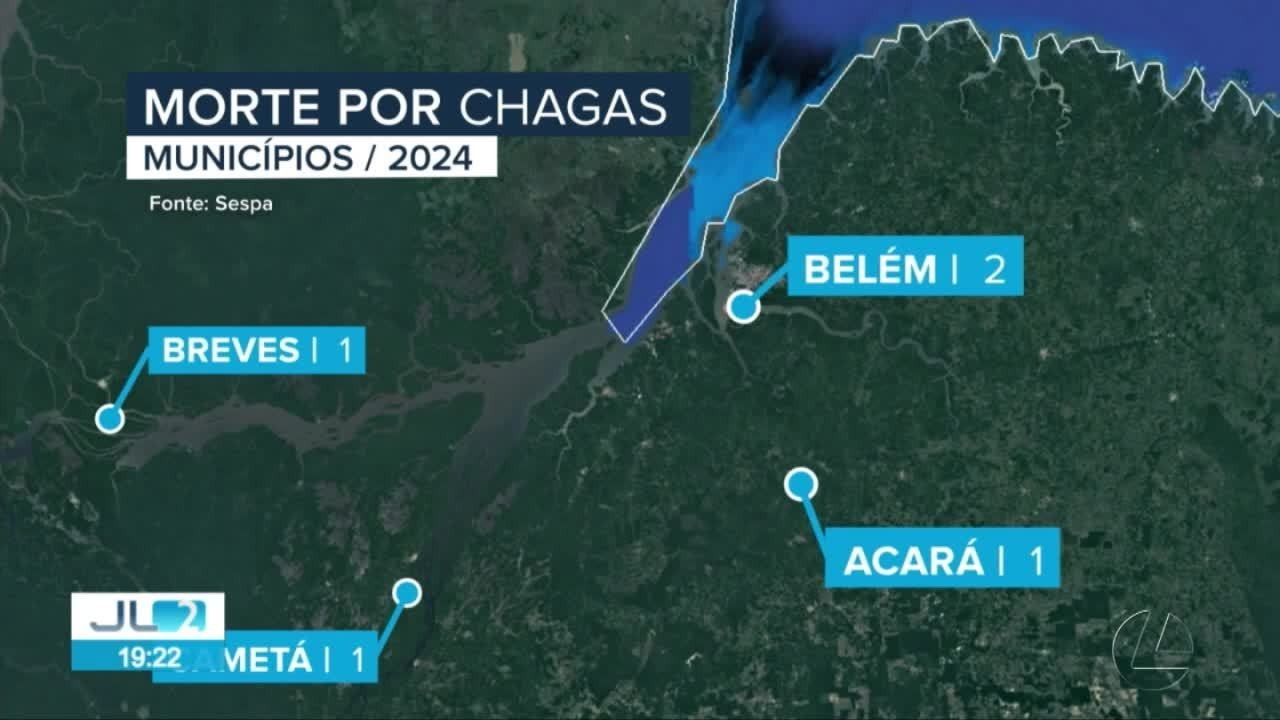 Sespa registra 13 casos de doença de Chagas no Pará em 2025; uma pessoa morreu contaminada em Belém