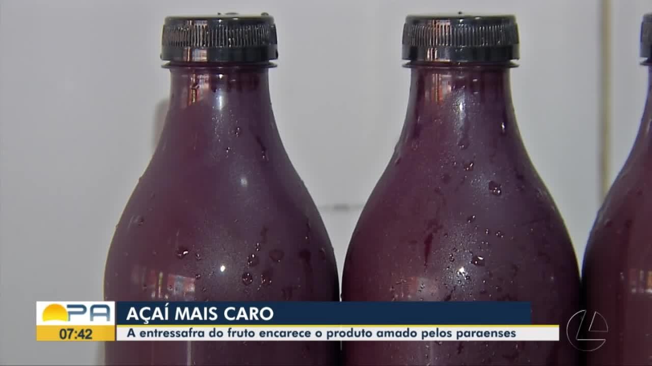 VÍDEOS: BDP de quinta-feira, 13 de fevereiro de 2025