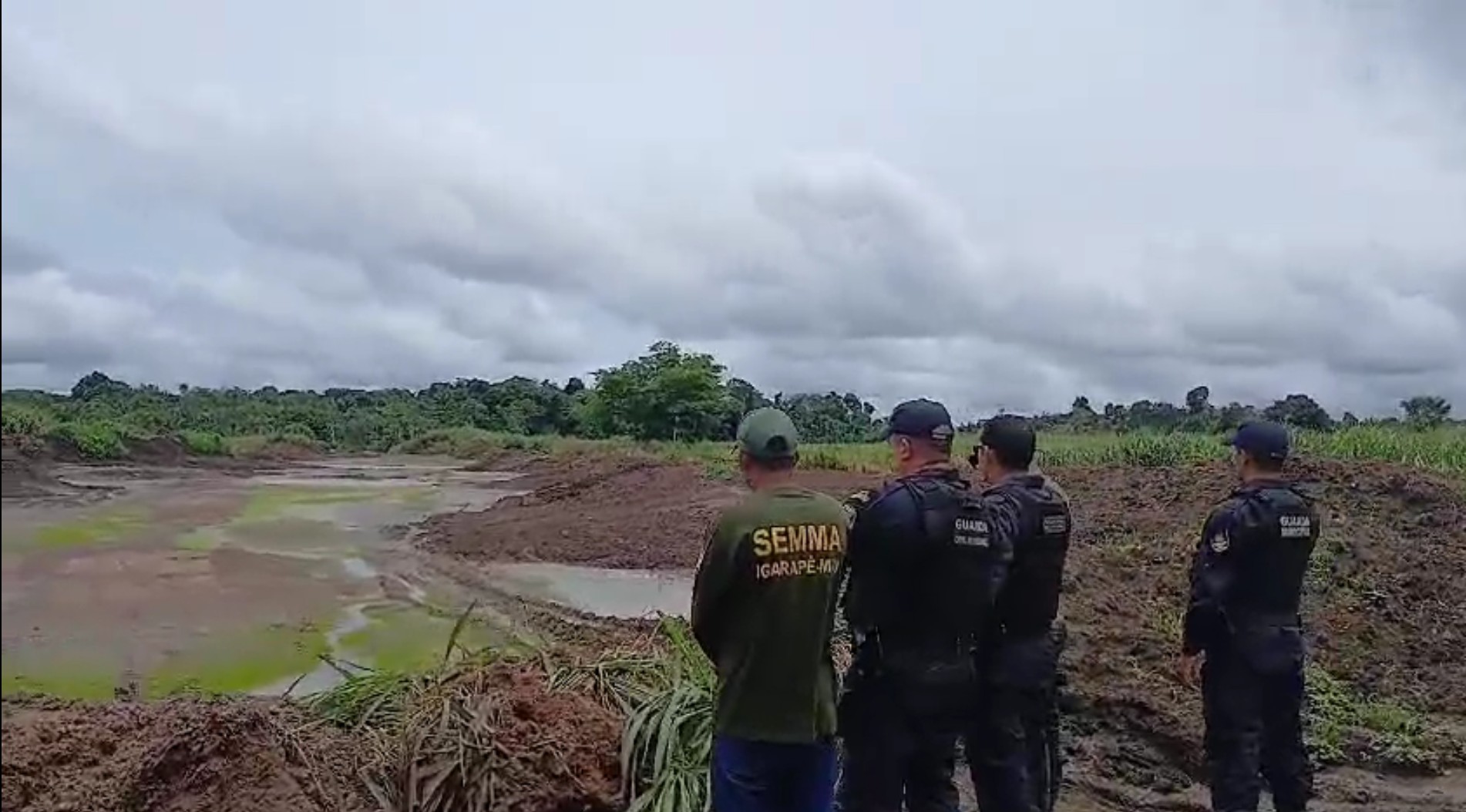 Ribeirinhos flagram centenas de peixes mortos em rio com possível contaminação no Pará