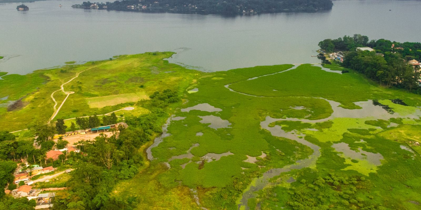 Parque na orla da represa Guarapiranga tem 261 espécies de aves