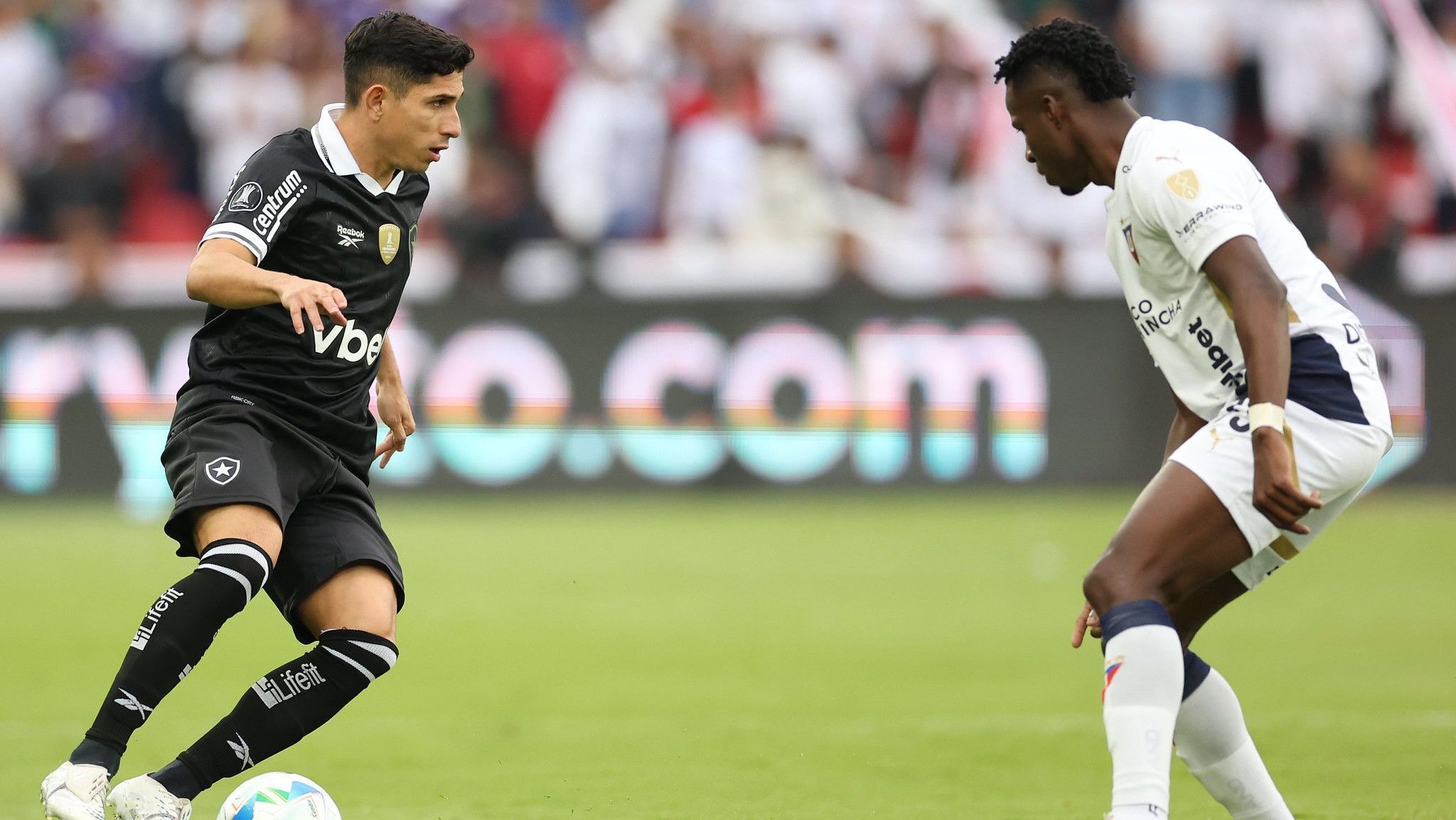 LDU provoca Botafogo após eliminar clube brasileiro na Libertadores