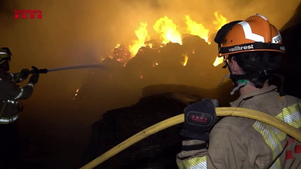 União Europeia registra maior área queimada em incêndios florestais em 2025