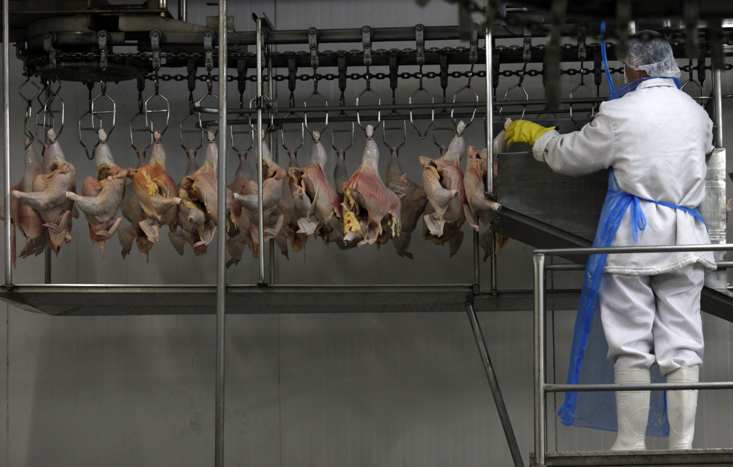 Acordo Mercosul-Efta é avanço para carne de frango, diz ABPA