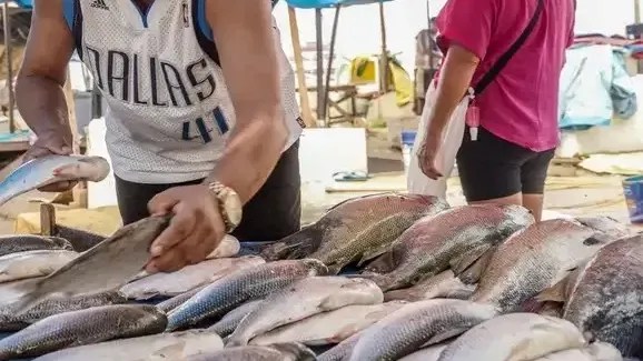 Alternativa aos EUA: pescadores apostam em China, Austrália e Oriente Médio
