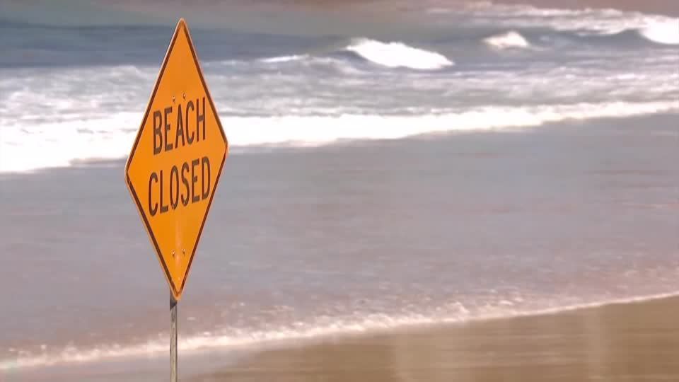 Praias na Austrália são fechadas após ataque de tubarão matar homem