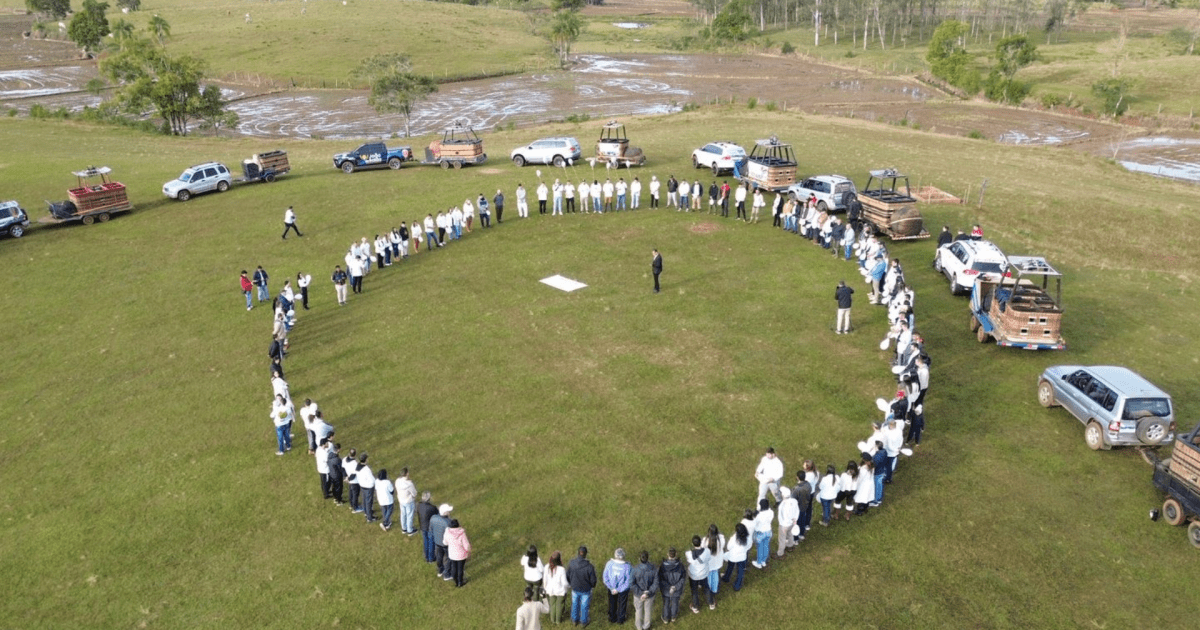 Delegado de queda de balão em SC é demitido; polícia nega relação com caso