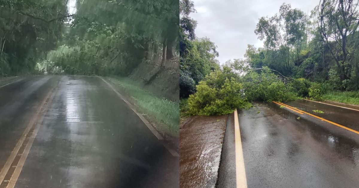 Temporais causam prejuízos em pelo menos 10 municípios gaúchos
