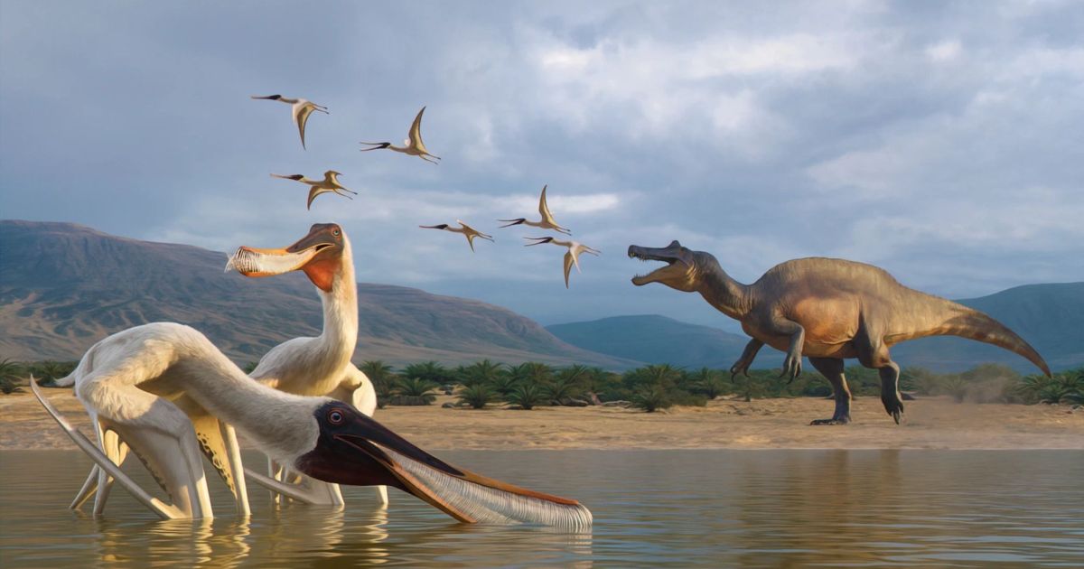 Vômito fossilizado revela nova espécie de pterossauro que viveu no Brasil