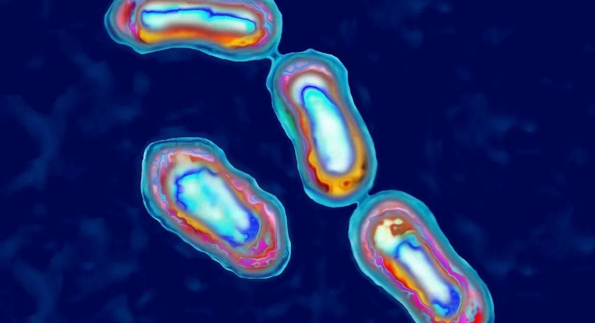 Como vulcão em erupção pode ter levado à pandemia de Peste Negra