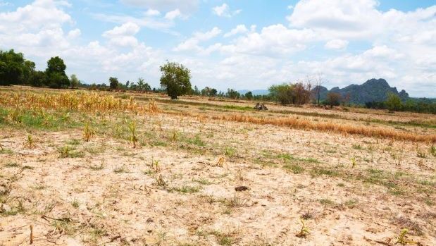 Mudança climática deixa perda anual de R$ 30 bi no campo e desafia seguros