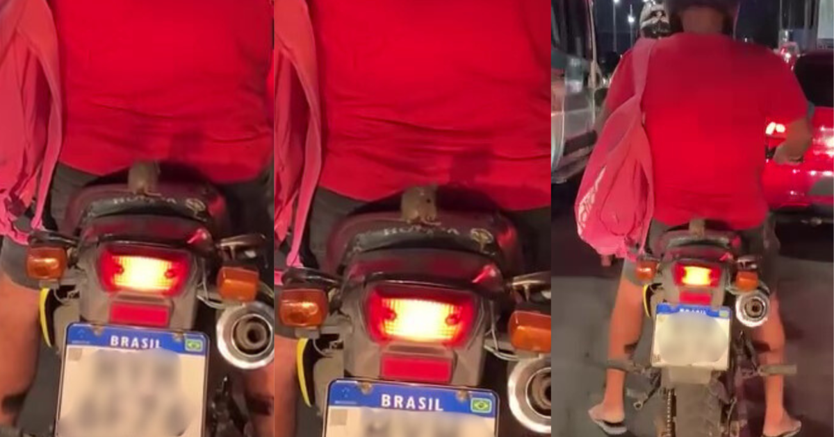 Rato é flagrado “pegando carona” em moto no trânsito do Ceará; veja vídeo